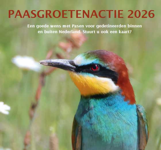 Paasgroeten 2026