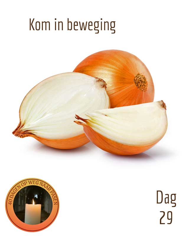 dag 29